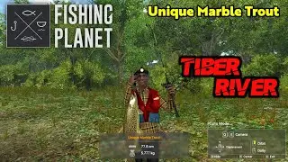 Unique Marble Trout Tiber River - Fishing Planet