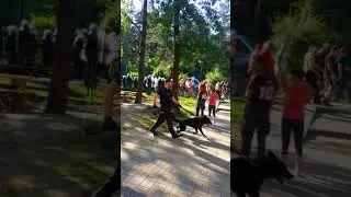 Po niedzielnym meczu Łada Biłgoraj - Hetman Zamość