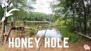 Farm Pond Fishing For Giants Bass!