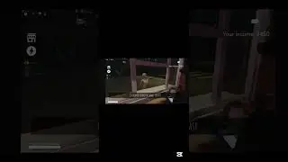 funny moments from our live stream