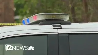 Glendale Abuse Case