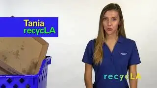 Blue Bin Tips from Tania at recycLA