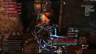 ESO Wod Elf NB Dungeon Pulls