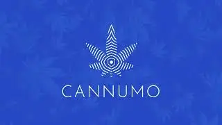 Cannumo | Initial Dex Offering | ZeroSwap | ZeeDo
