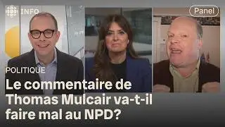Que penser de Thomas Mulcair qui &eacute;corche son parti, le NPD? | &Eacute;lections Canada 2025 | L'agenda