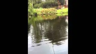 Fastest Fish OF The Year