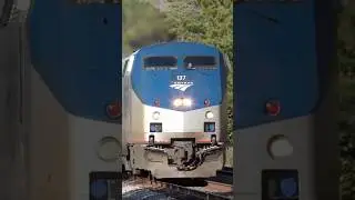 Amtrak Carolinian Train 80 in Raleigh, NC with 137&rsquo;s Great K5LA #Amtrak #Trains #Railway
