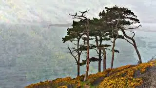 St Anthony Head to Place - Cornwall U.K. - Coast Path Walking Meditation