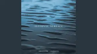 Internal Surface