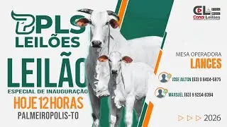Canalleiloes.com | 🔝LEILÃO DE INAUGURAÇÃO PLS LEILÕES | PALMEIROPÓLES TOCANTINS-TO