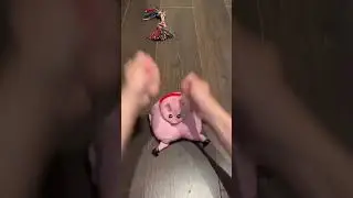🐷😄Squishy Piggy: The Coolest and Squishiest Stress Relief Toy!