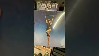 Vinyl Culture in Orlando - 2023