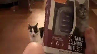 Sentry Portable Calming Diffuser for Pets Review