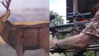 TenPoint Crossbow with Field Points at 40 Yards