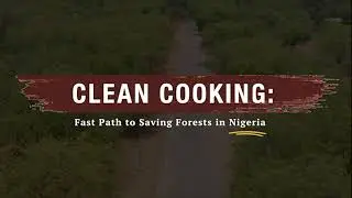 Clean Cooking: Fast Path to Saving Forests in Nigeria