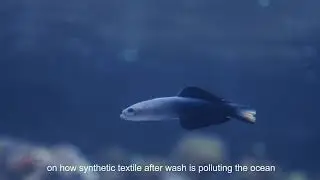 THE NATURAL LABORATORY: The Origin_HERMIN TEXTILE
