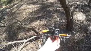Regrowth Area // Blackout Mini H Quad // MT1306-10 // CC3D