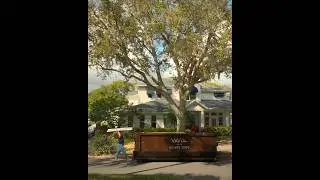 Need a Dumpster Fast? VaVia Makes Cleanouts & Renovations Easy!