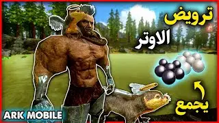 ارك موبايل: ترويض الاوتر وكيف يجمع بلاك بيرل ❤️🔥 ARK Mobile