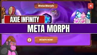 Play to Earn | Axie Infinity Meta Morph y Nuevo Leak en Homeland
