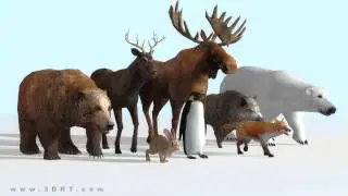 3DRT com Wild animals 3d pack demo