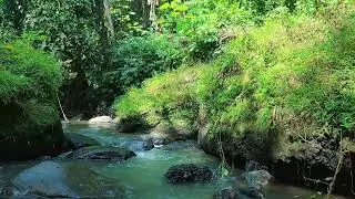 Sound of River Stream &ndash; Quarry Creek &mdash; clean audio, no insects.