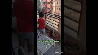 #birdslover#naturelovers #shorts