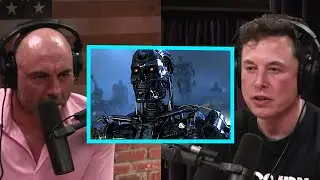 Joe Rogan - Elon Musk on the Danger of Artificial Intelligence