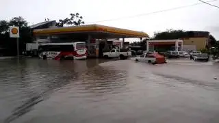 El voto castigo!!!