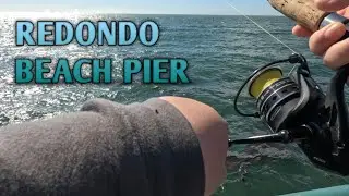 California Pier fishing (Redondo beach)  bait!!
