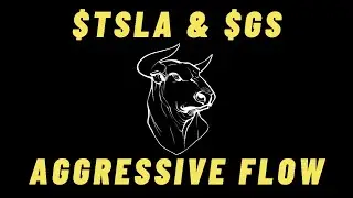 Strong Relative Volume in GS & Continuation In Tesla