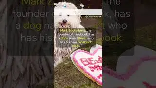 Unveiling Mark Zuckerberg's Enigmatic Dog: Meet Beast | Awesome Daily Facts🔥