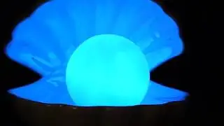 Pearl & Shell Light