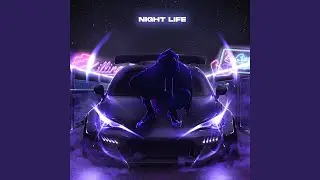 NIGHT LIFE