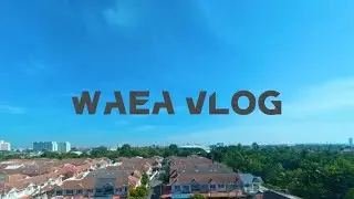 WAEA VLOG EP.1 | แวะ(ว๊อก) กินข้าวที่ The Big Tree Cafe