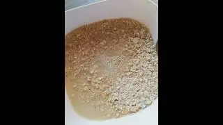 Avena cafesuda