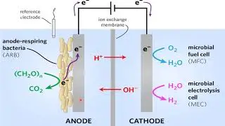Microbial Electrochemical Cells