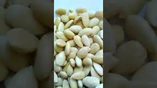 HOW TO MAKE BADAM POWDER / BADAM MILK POWDER