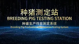 Nanshang Agri-Tech | Breeding Pig Performance Testing System #smartfarming #pigproduction #agritech
