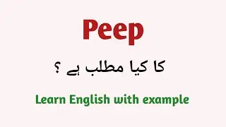 Peep meaning in Urdu | words meaning 