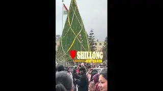 Christmas Vibes in Shillong | A Festive Walk Through the Hills | Northeast India | Meghalaya | vibes