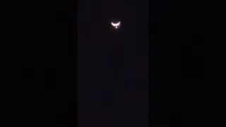 Amazing moon and venus ❤ #moon #trendingvideo #assam