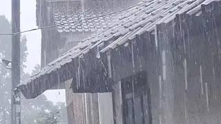 Сильный дождь, от которого наконец-то успокаивается разум 🌧️ Звуки сильного дождя для сна