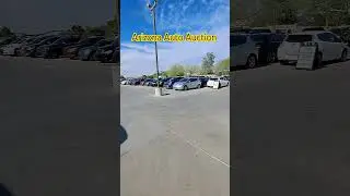 Arizona Auto Auction.  #auction auction