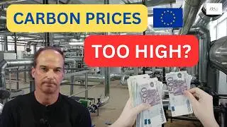 Is the EU Carbon Market Hurting Europe&rsquo;s Competitiveness?