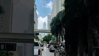 Miami#miamiarchitecture#downtownmiami#travel
