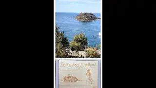 Resolute Loop Trail - Ku-ring-gai Chase National Park