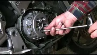 LUZ  NA KOSZUEGŁA SPRZ. HONDA VFR 800 MTS