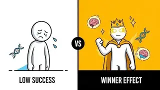 The Winner Effect: How Small Wins Make You More Productive Fast