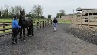 Vlog 3 - A friesian horse, a bike and a fit girl